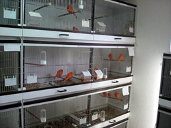 sommerudflugt region fyn 2012 158r
